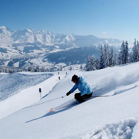 Des Cretets * Megève