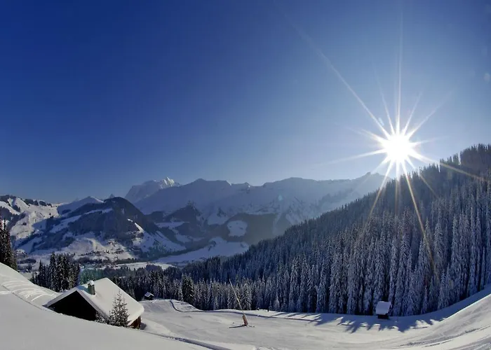 Des Cretets Апартаменти *