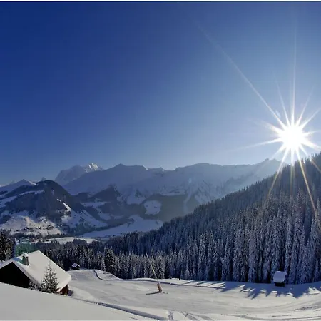 Des Cretets Apartment *